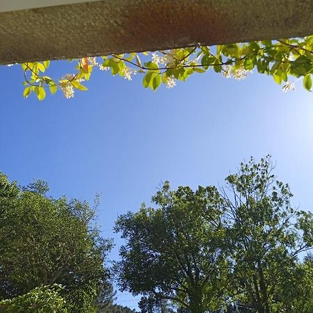 Chambre Entre Source Et Volcan Lalevade-dʼArdèche Εξωτερικό φωτογραφία